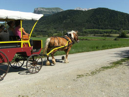 Association Equipage © Pascal Lluch